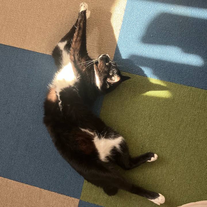 30f61038 ac83 4353 8942 6c7d42ce4158 1699587226405