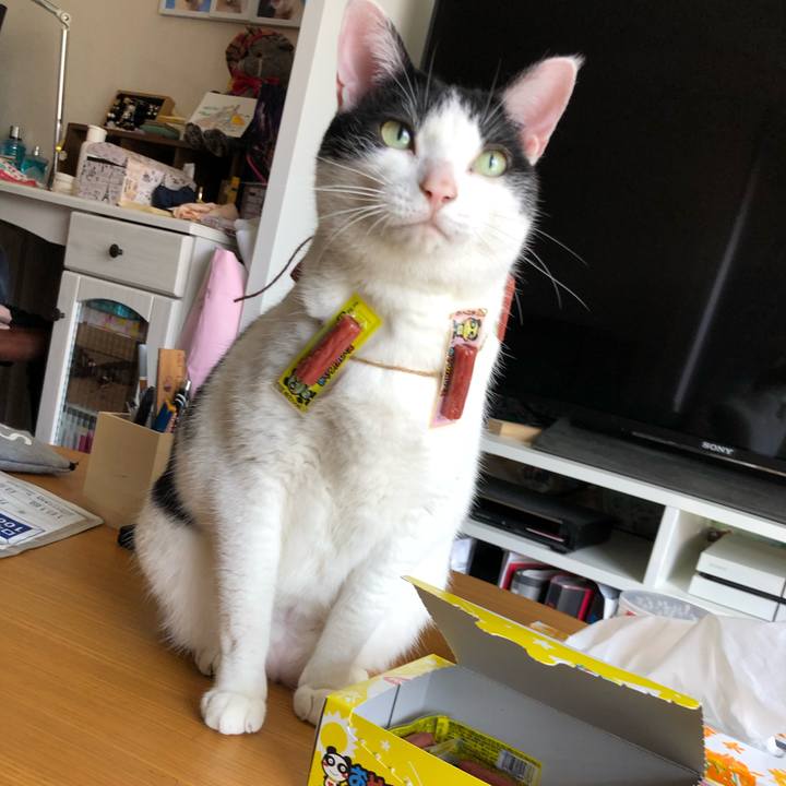 30f63e45 1278 4579 bc49 0e4b1c5c6ea9 1588394436758