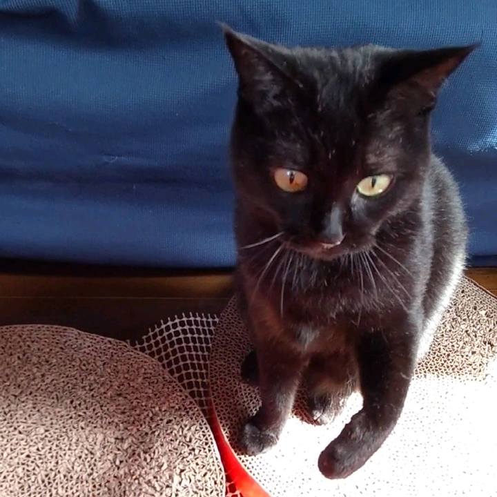 30f64e60 a8e8 4c87 87a9 4bfce659939f 1677901252169