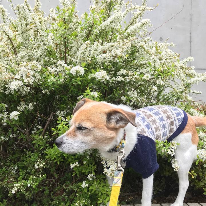 30f65deb 915d 495a abef 109132fe56c4 1583815570196