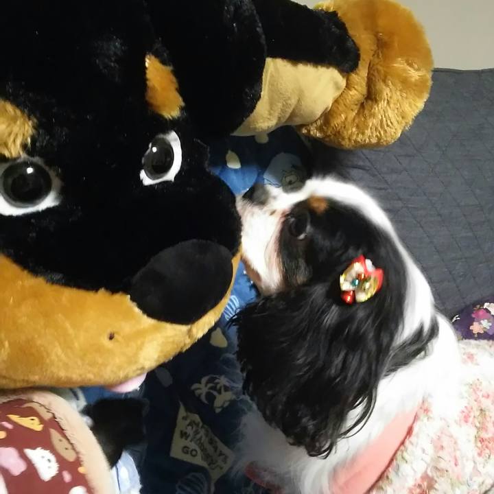 30f6866c 047e 471c 9eb6 9c8722dee0a0 1514208187630