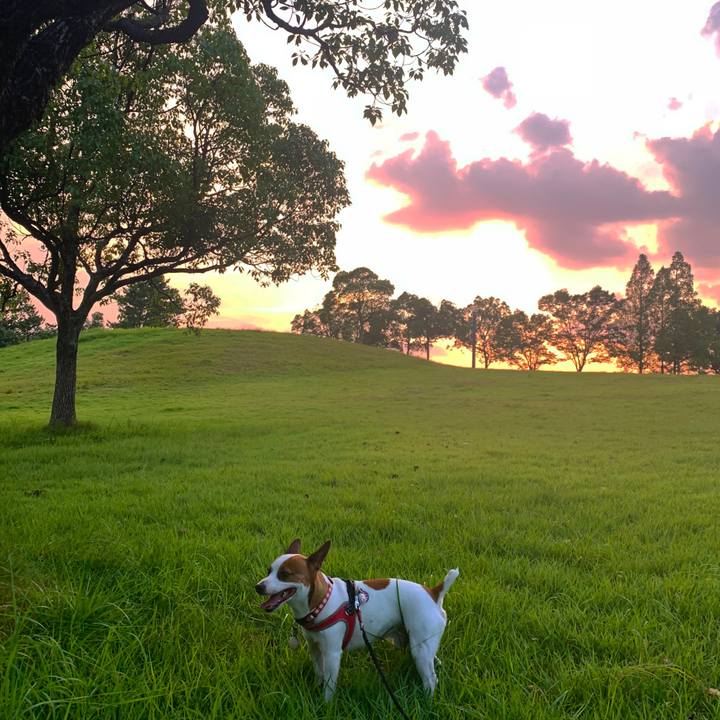 30f70403 3c7e 4027 9ff0 e089deb07437 1566041320323