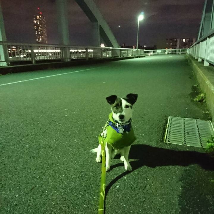 30f74284 7f40 4ef9 a693 5e63e7ca5593 1510833049572