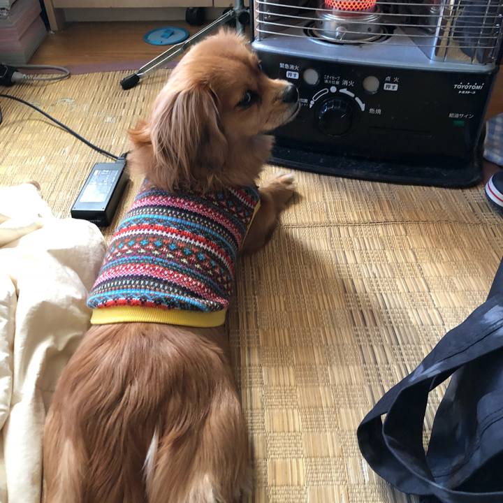 30f7687d 782c 4838 b9fd a365602bd7a2 1516862666612