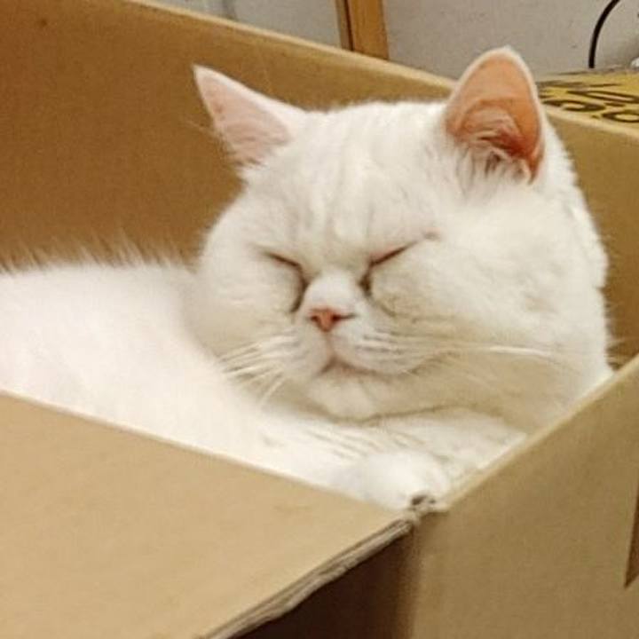 30f7724f 44a3 4fee 9a2b 784023827a44 1611755385301