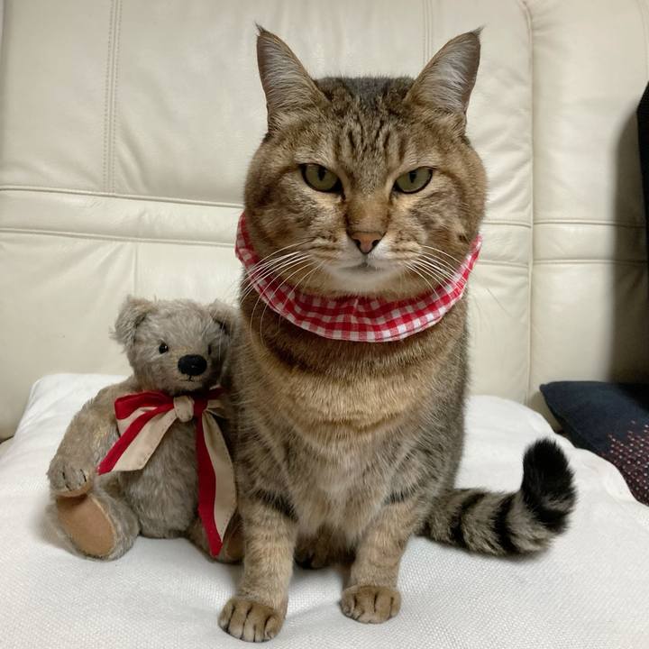 30f77f64 06d4 4680 a813 0c40b2df2576 1666835768516