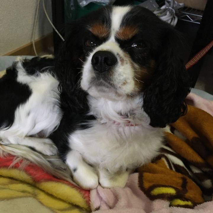 30f81337 69eb 4738 996f f8598d5b979a 1508370272140