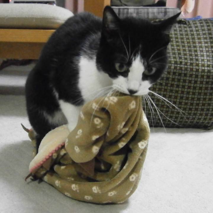 30f83a7e ad3b 4b2d a6ec f571aba8213d 1541675060519