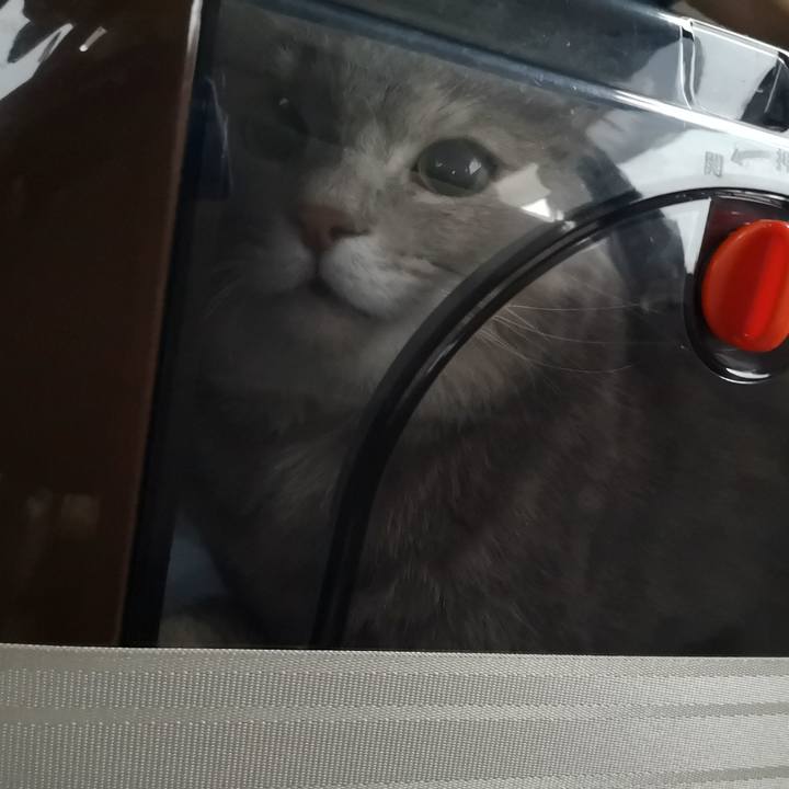 30f859fe 1166 4050 9512 79ff5c234b69 1569038500131