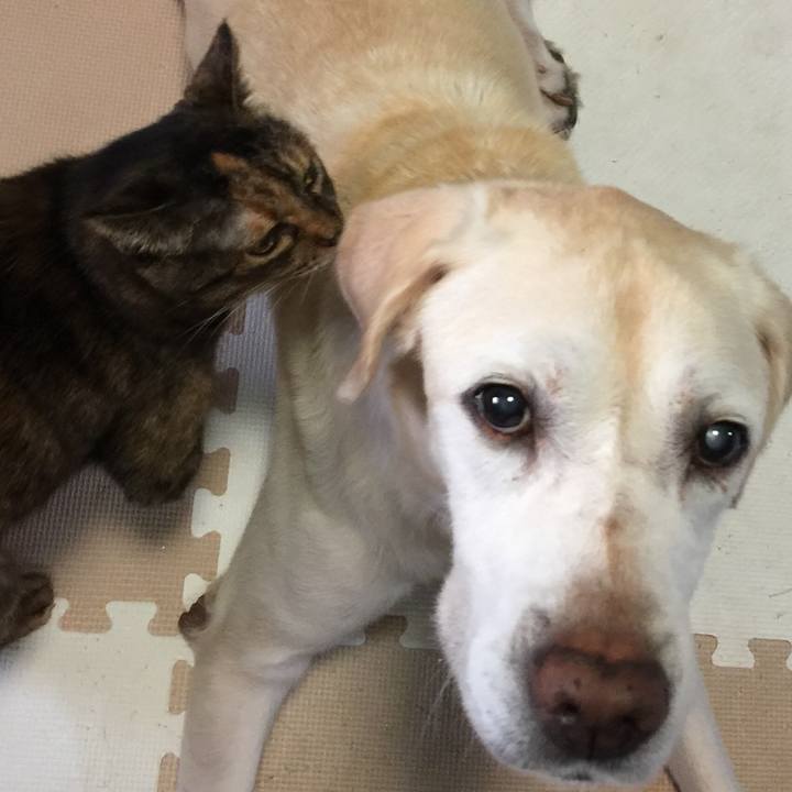 30f8cd9d 5c41 4e29 a9df 3874fdbd396c 1599639911362