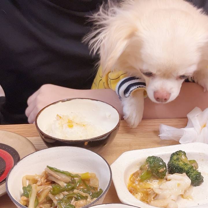 30f8f3fc 2862 491e 9e75 bd16fa04f6d5 1739352006443