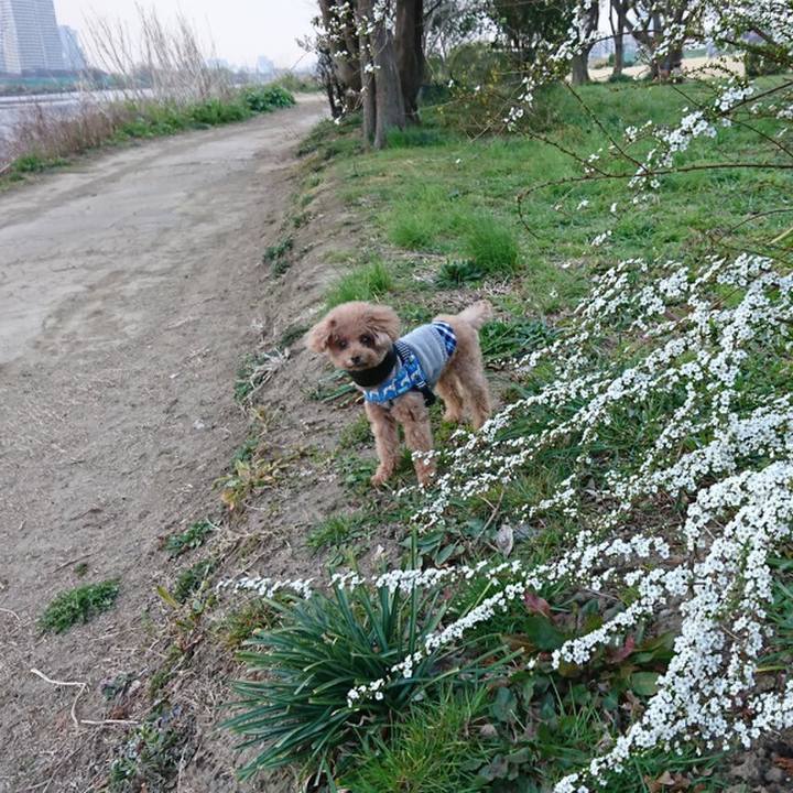 30f904da a04f 48d1 9bec e29271b1525b 1552743131570