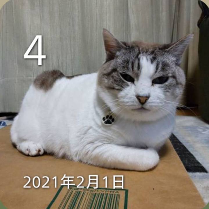 30f94260 8d2c 4e16 8ea1 90880ee0323b 1770176442606