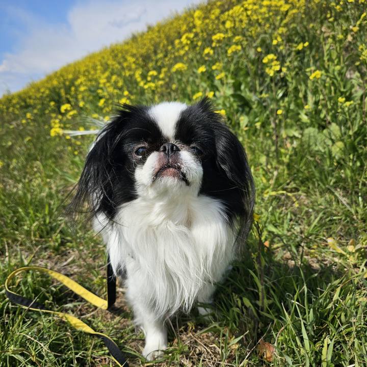 30f96b90 ccb7 46ce b25d dbbb88d90602 1709536466688