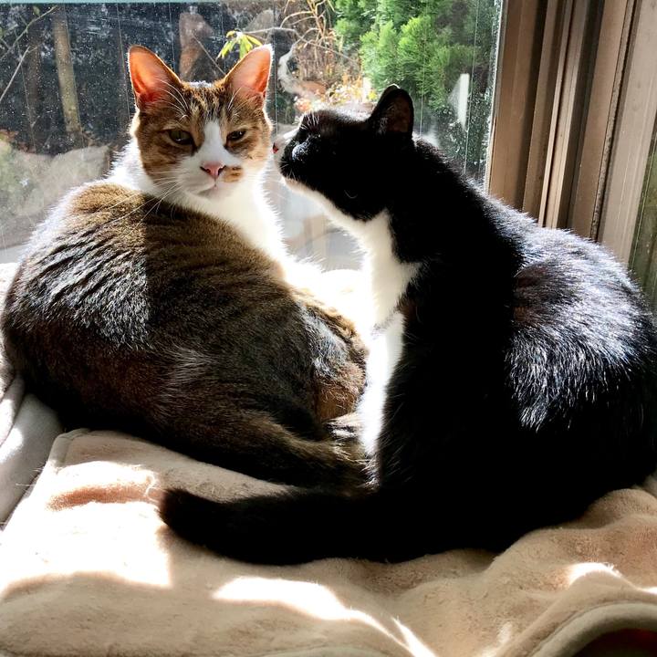 30f9c281 3b29 4d42 b777 e8a053afc38f 1515649111591