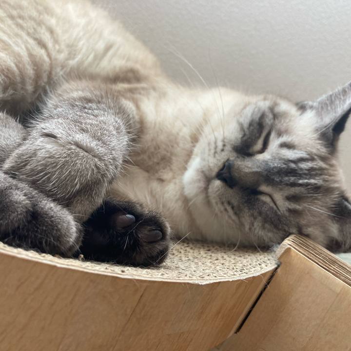 30f9e937 18d0 420a 8558 44476b6af0f2 1755936349417