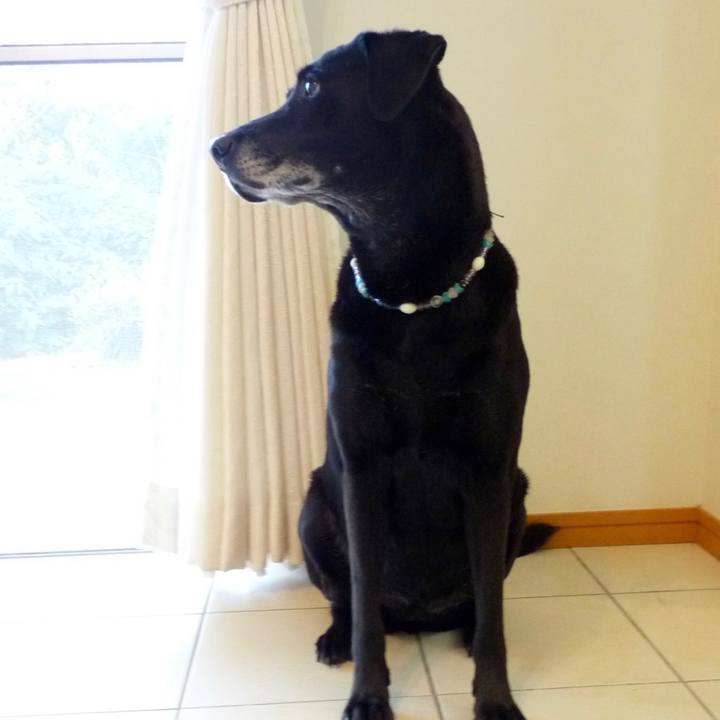 30f9eefb a155 4ded 904e 5ea7ce34dd62 1627046110315