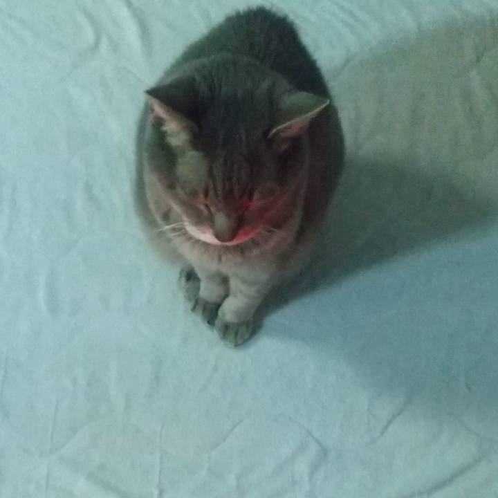 30fa07b8 9dd9 456a a58e 8b56dc4e4793 1672782394132