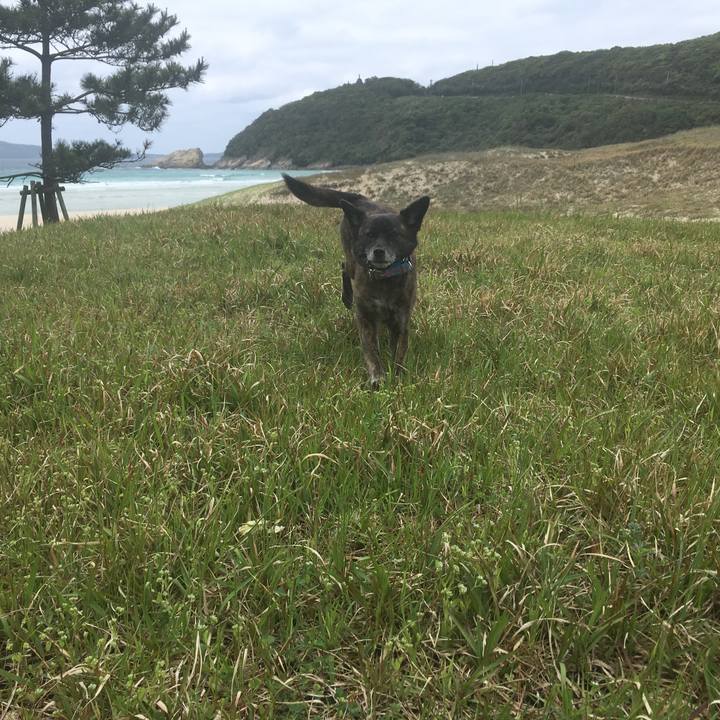 30fa1d21 8e75 40ee 8e0a 3fa2c2110370 1558185568437