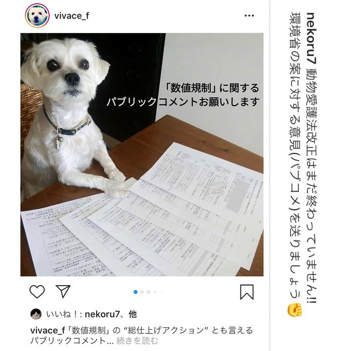 30fa218b a444 4137 ba23 2b83268b609a 1603676470275