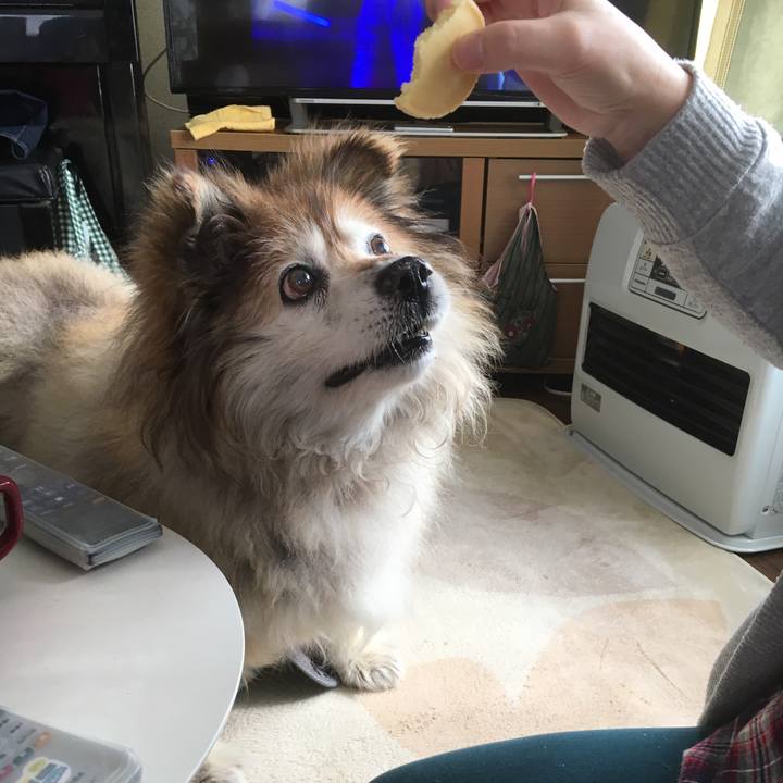 30fa248c 09f9 4489 82b3 d10b9e65d1fc 1553037892225