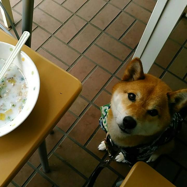 30fa2c7b dbcd 4115 979a 3b515306e7ec 1561880297173