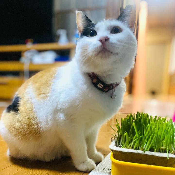 30fa362c 4983 4981 8eaf f5f35841198b 1653165170672