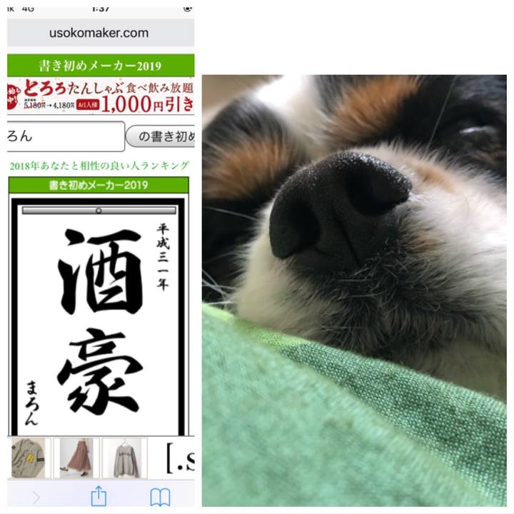 30fa67d3 b069 45da a10b 631129f79311 1546301422777