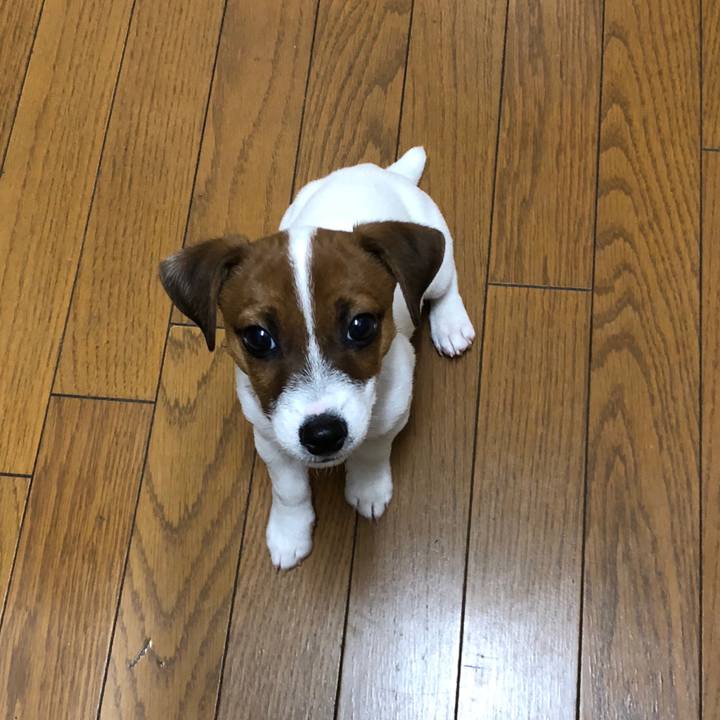 30fa67f2 e672 4f23 8021 2e7bc8ac3e9a 1512771173606