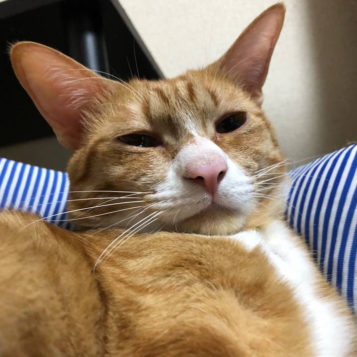 30fa684e 0305 4016 88a3 73abaf0eeb18 1566212159679