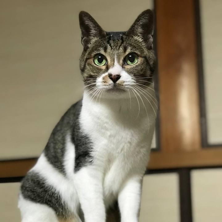 30fa6e56 aaab 4eb5 bc38 a5d97175ff78 1514599138870