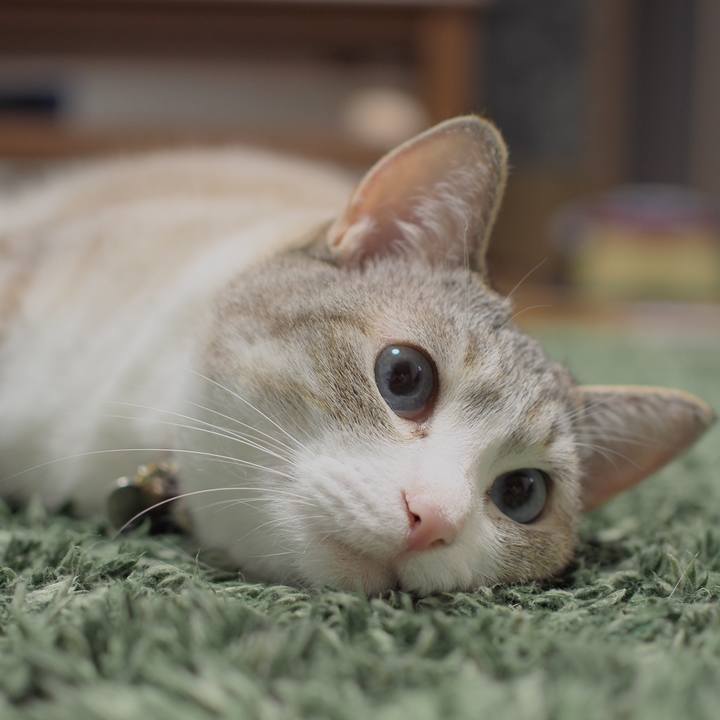 30fa7134 fab1 4db6 a9d1 b9501353c17f 1594304392558