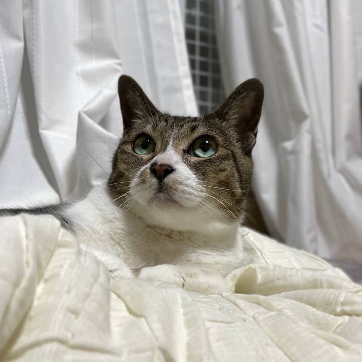 30fa73c6 e581 4342 937a e62ac1fa6c88 1656725616031