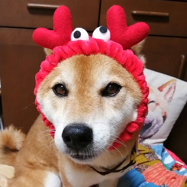 30fa8543 5863 4176 a083 4f1b11f89418 1655798915978