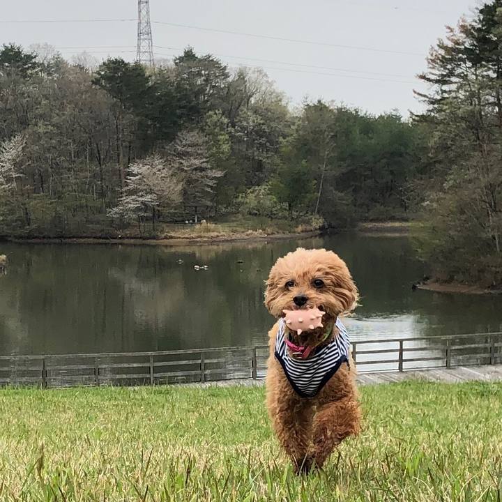 30fab0f6 6ae3 4f5a a48d c0174d40ba4d 1556171763356