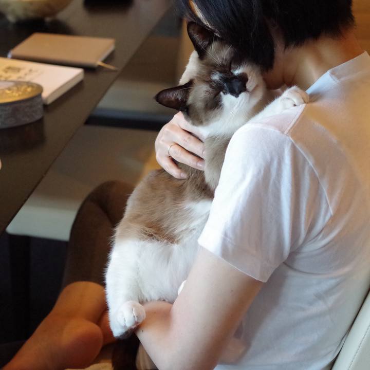 30fad5cb 29d6 4721 9df9 337c67f1b983 1541934881686