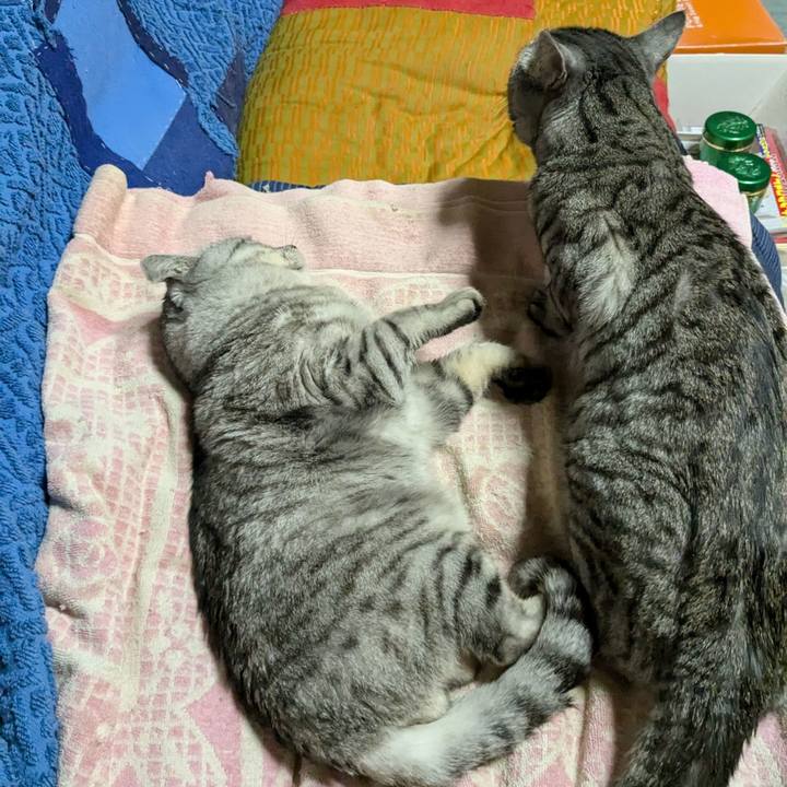 30fada67 043f 4697 b59a 39972c476289 1732207892189