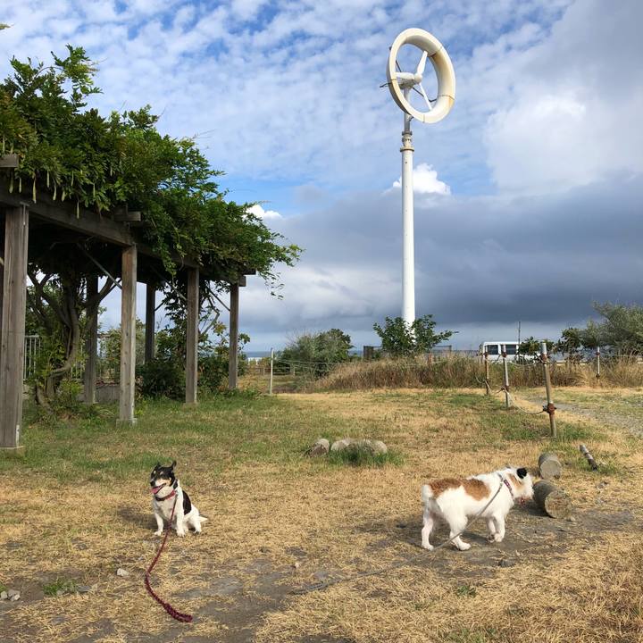 30fae7ff 8058 4bfd ab31 505925b74d50 1533859765269