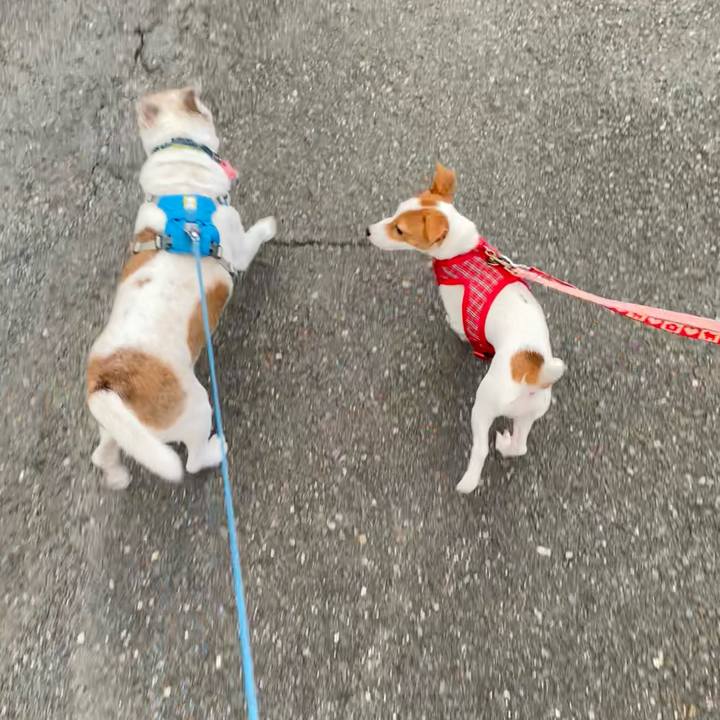 30fb1622 904c 4a96 bab3 2afb137252ce 1696456757708