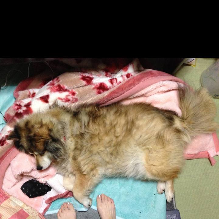 30fb5a59 291c 4c11 8d99 b5e6eab56b1a 1568084647801