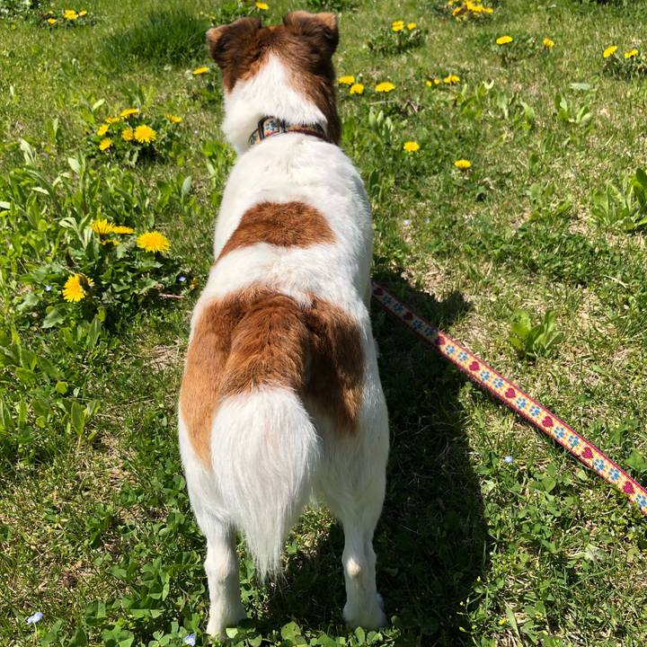 30fb7ab0 534c 4f89 9797 453054c5225c 1524966058951