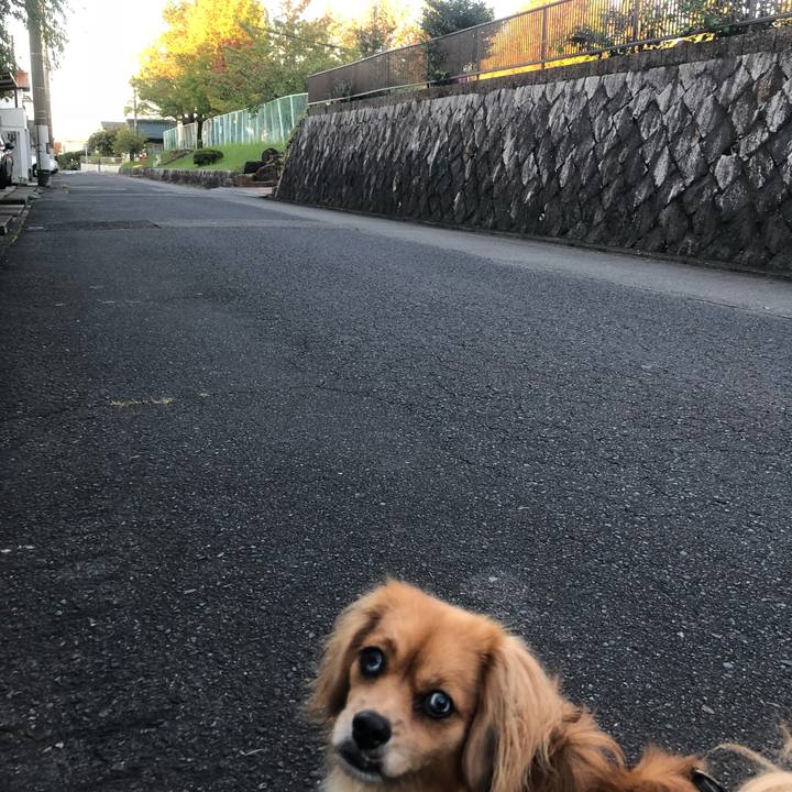 30fb9868 19d8 401f 929d 932de918b78e 1538083310420