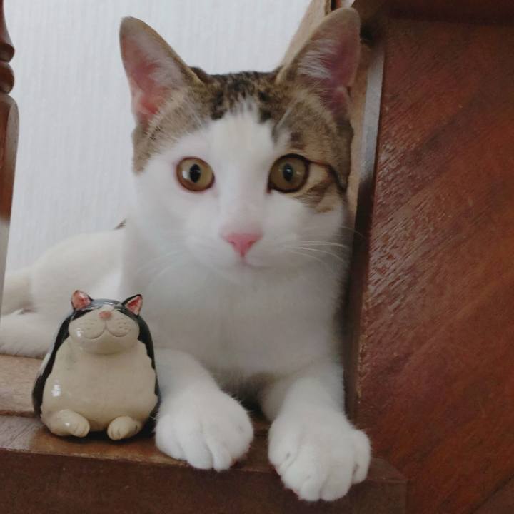 30fb9e6a dc03 4a4e be25 50d2c1edf6bf 1647517043980