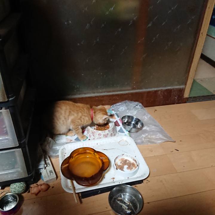 30fbe368 6090 422c 8922 7ab9cfc3af24 1632343916342