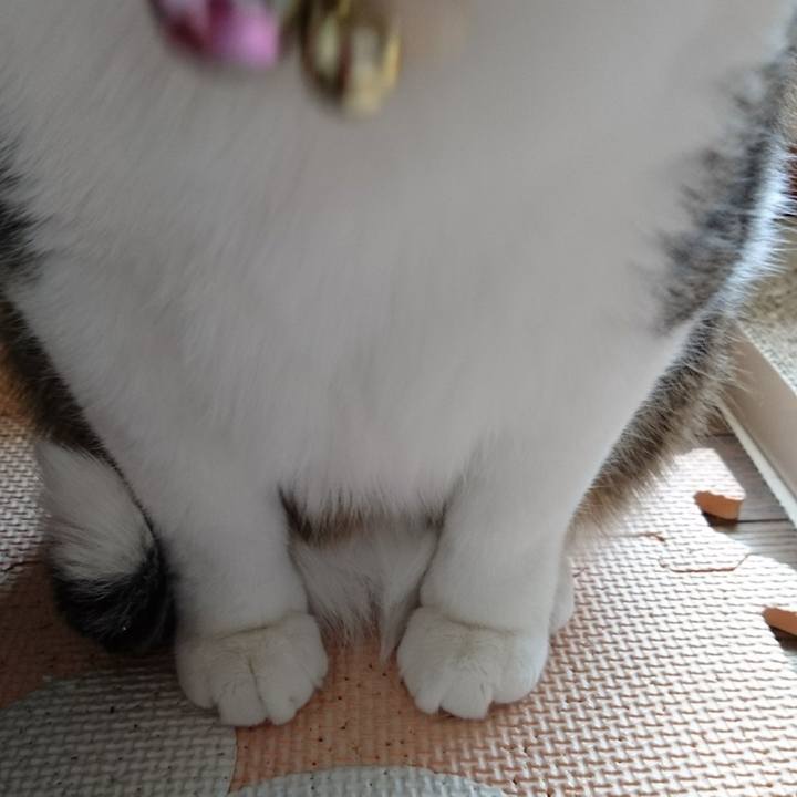 30fbf1d0 7007 4b5f a41e 21dc9939f1bd 1524007287543