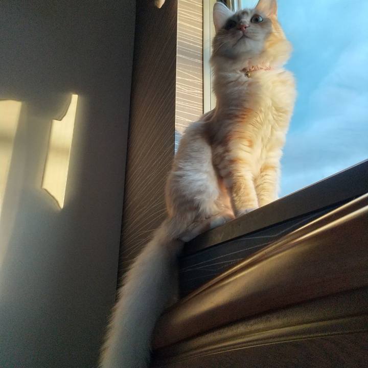 30fbfdbd 1289 4a95 ac6c d9b6ecd96fcf 1618522874313