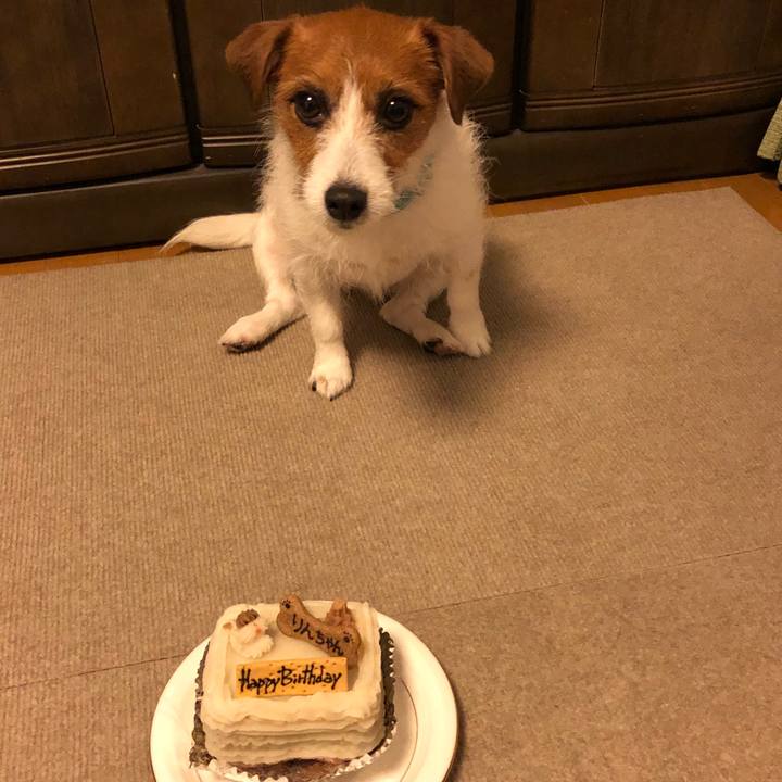 30fc0592 643e 4456 883d b2fa188af365 1521459592654