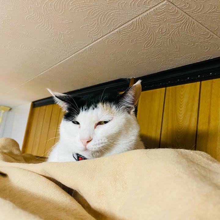 30fc1333 6250 4ccb 8a10 b201e61cc6e6 1666184840022