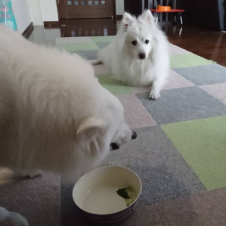 30fc26f3 115c 462b 9b7d f8bce2700d68 1589332264020