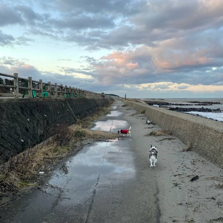 30fc4355 c807 4ce7 9816 56e230c643cc 1734649930604